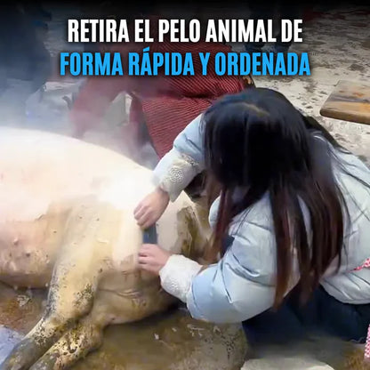 CleanSweep™ Herramienta Depilación de Animales