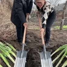 Pala de jardin UPSELL